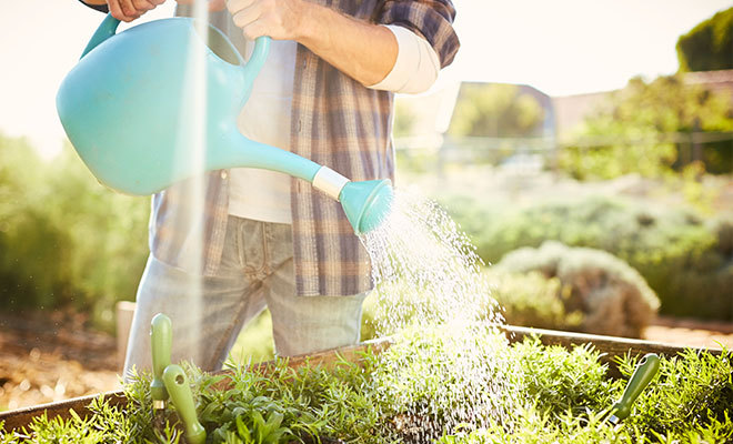 Agriculture Industry